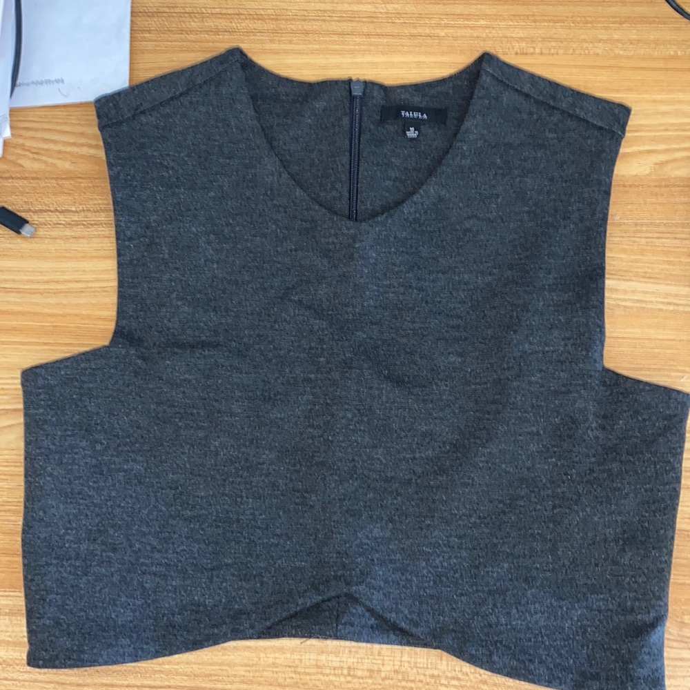 Aritzia Talula shirt